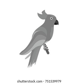 Parrot
