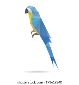 Parrot abstract isolated on a white background, vector illustration