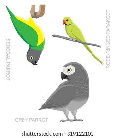 Ilustración de vectores de dibujos animados africanos de loros