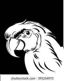 Parrot,
Parrot,      All elements are in separate layers color can be changed easily.     