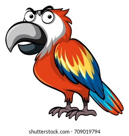Parrot with angry face illustration