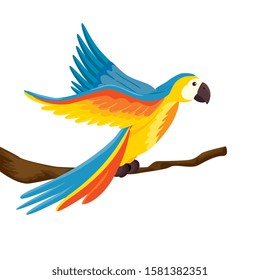 parrot animal exotic in branch isolated icon vector illustration design