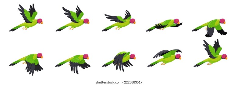 Papageienanimation. Flug mit animierten Papageien, Sequenzreihenliste mit fliegenden Vogelschleifen, Blitzzyklus mit Flügelbewegungen der Naturfliege, Cartoon-Vögel-2d-Spiel, Vektorgrafik der Parrot-Sequenz-Animation