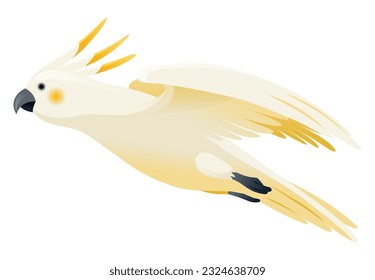 Parrot animation. Exotic adorable fauna character flight. White sulphur crested cockatoo. Animated tropical bird flying