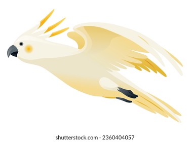 Parrot animation. Exotic adorable fauna character flight. White sulphur crested cockatoo. Animated tropical bird flying