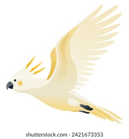 Parrot animation. Exotic adorable fauna character flight. White sulphur crested cockatoo. Animated tropical bird flying