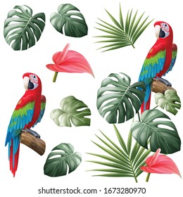 Parrot, Anthurium, Monstera, Tropical leaves clip art. Isolated on white background. Vector illustration.
Perfect for sticker, element, picture album, journal book, card, etc.