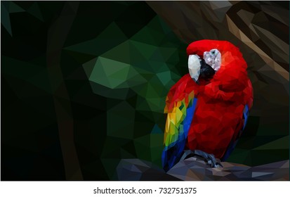 Parrot ara