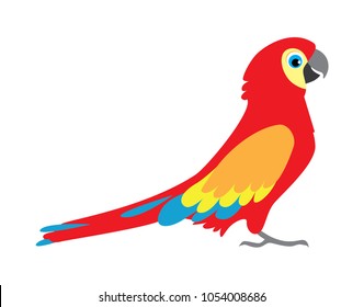 Parrot ara. South American bird cartoon illustration. Flat style icon. Vector image. 