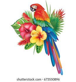 Parrot Ara with tropical plants and flowers