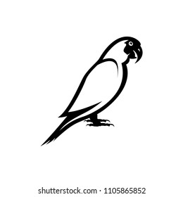 parrot ara vector silhouette