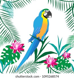 Parrot ara. White background. Seamless pattern.