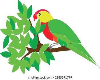 parrot art vector and illustrate