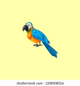 parrot artwork in yellow background 