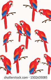 parrot background, on white background

