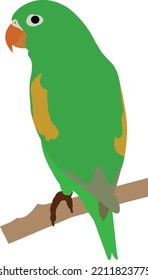 Parrot Beautiful Bird vector artwork