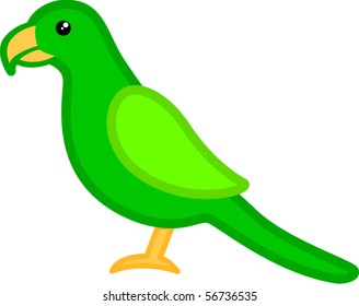parrot bird