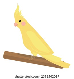 Сockatiel parrot bird. animal, vector illustration Sitting. Side view. Flat illustration. 