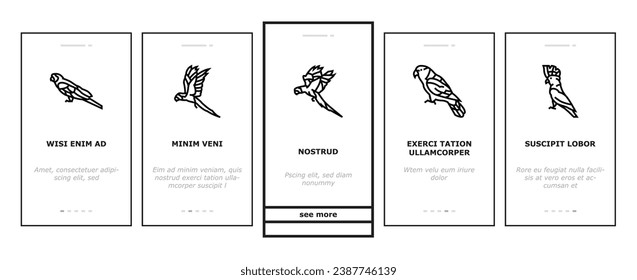 parrot bird blue animal tropical onboarding mobile vector. macaw blue, yellow wildlife, nature feather, red bright, wing wild, ara parrot bird blue animal tropical Illustrations