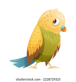 Parrot Bird with Bright Feathers and Beak as Home Pet Animal Vector Illustration