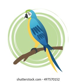 Parrot bird cartoon design