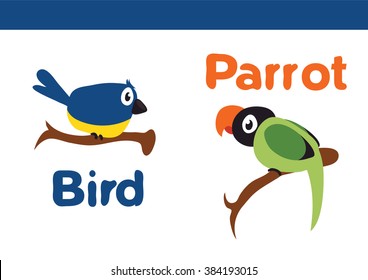 parrot and bird cartoon vector design