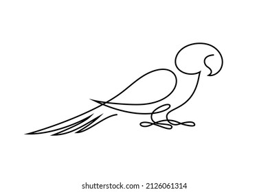 Parrot bird in continuous line art drawing style  Minimalist black linear design isolated white background  Vector illustration