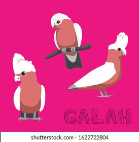 Parrot Bird Cute Galah Cartoon Vector Illustration