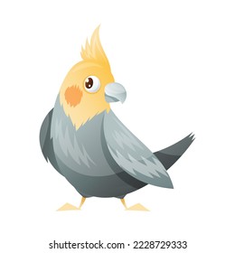 Parrot Bird with Feathers and Beak as Home Pet Animal Vector Illustration