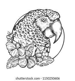 Parrot bird head animal engraving vector illustration. Scratch board style imitation. Black and white hand drawn image.