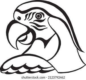 Parrot bird head animal engraving vector illustration. Black and white hand drawn image. Vector logo. Tattoo design. Linear drawing.