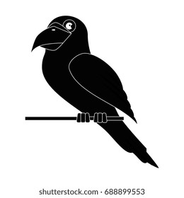 parrot bird icon