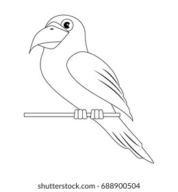 parrot bird icon 
