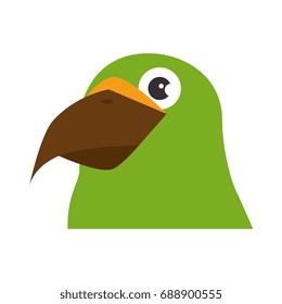 parrot bird icon 