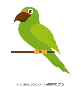 parrot bird icon 