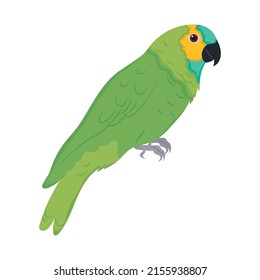 parrot bird icon on white background