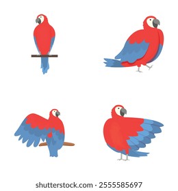 Parrot bird icons set cartoon vector. Beautiful colorful parrot macaw. Tropical bird