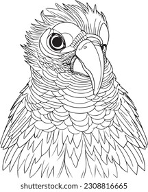 Parrot bird illustration, cute parrot coloring page for kids and adult, parrot mascot logo, parrot bird vector design