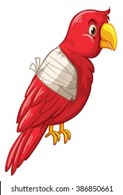 Parrot bird is injured illustration