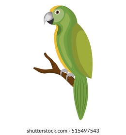 parrot bird isolated icon