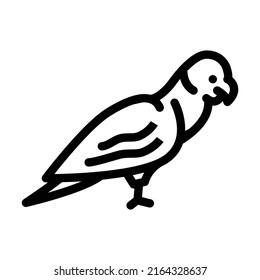 parrot bird line icon vector. parrot bird sign. isolated contour symbol black illustration