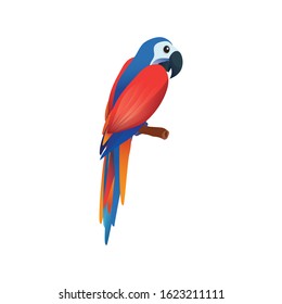  Parrot Bird logo design vector template.

