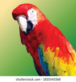 Parrot bird in lowpoly art.