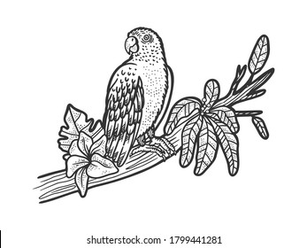 parrot bird on tree branch sketch engraving vector illustration. T-shirt apparel print design. Scratch board imitation. Black and white hand drawn image.