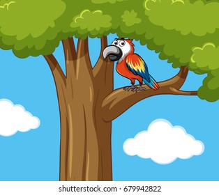 Papageienvogel auf der Abzweigung des Baumes