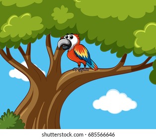 Parrot bird on the tree illustration