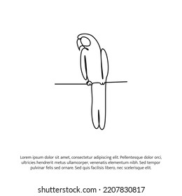 Parrot bird one continuous line drawing. Cute decoration hand drawn elements. Vector illustration of minimalist style on a white background.