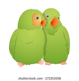 Parrot Bird Pair