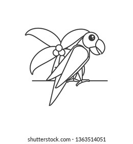 parrot bird with palm tree