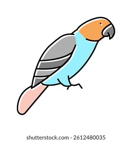 parrot bird pet color icon vector. parrot bird pet sign. isolated symbol illustration